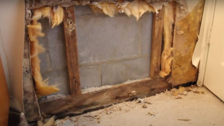 How To Prevent Mold On Wood/Use Of Effective Strategies