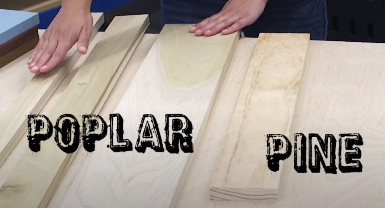 Poplar Vs Pine Wood – Which Is The Best Choice For Project?